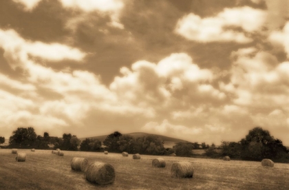 Picture of WHEATBALES