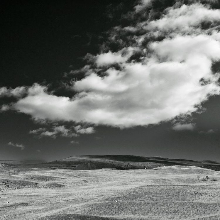 Picture of FIELD WITH CLOUDS