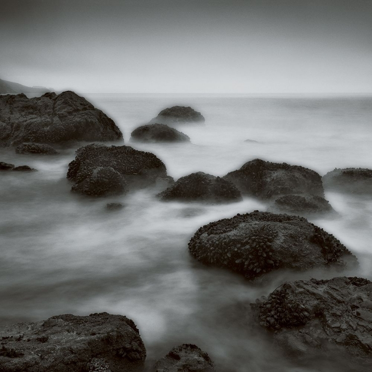 Picture of MUIR BEACH