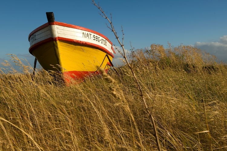 Picture of BOAT NATALES CHILE