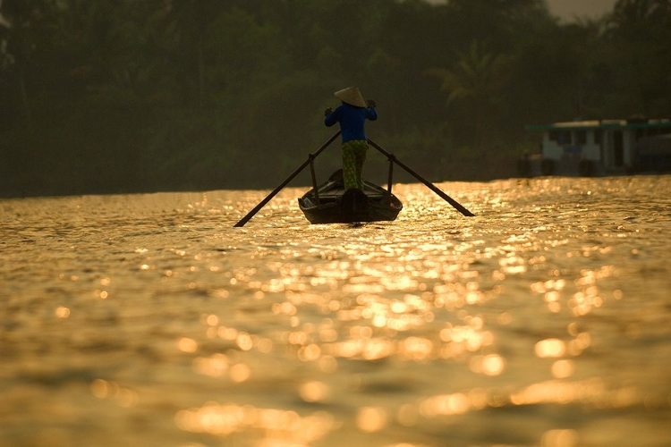 Picture of MEKONG DELTA VIETNAM