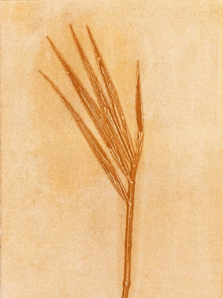 Picture of BAMBOO A