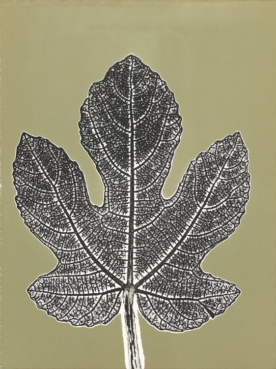 Picture of LEAF C