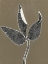 Picture of LEAF D