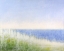 Picture of YELLOW BEACH GRASS-BLUE WATER