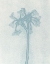 Picture of PETITE STEM 3