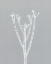 Picture of PETITE STEM 15