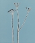 Picture of PETITE STEM 19