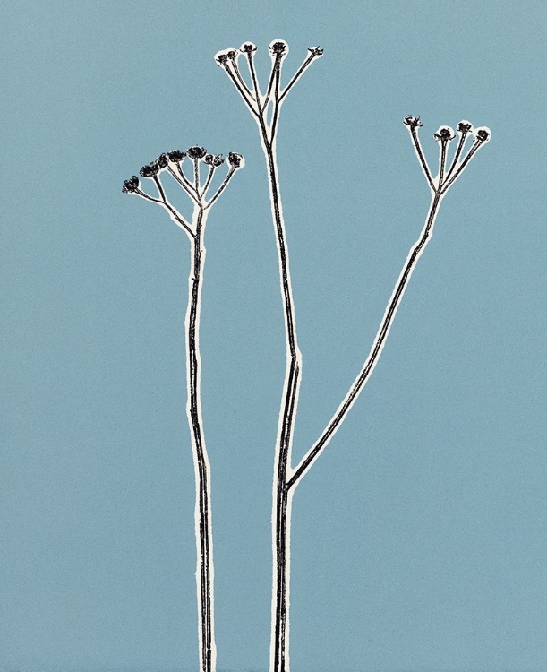 Picture of PETITE STEM 19