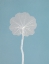 Picture of POM POM STEM 3