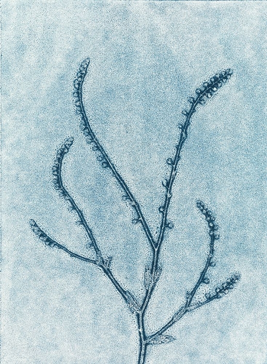 Picture of BLUE SPINDLE 2