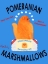 Picture of POMERANIAN