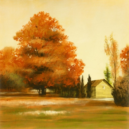 Picture of AUTUMN AFTERNOON