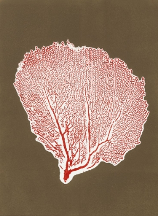 Picture of SEA FAN 10