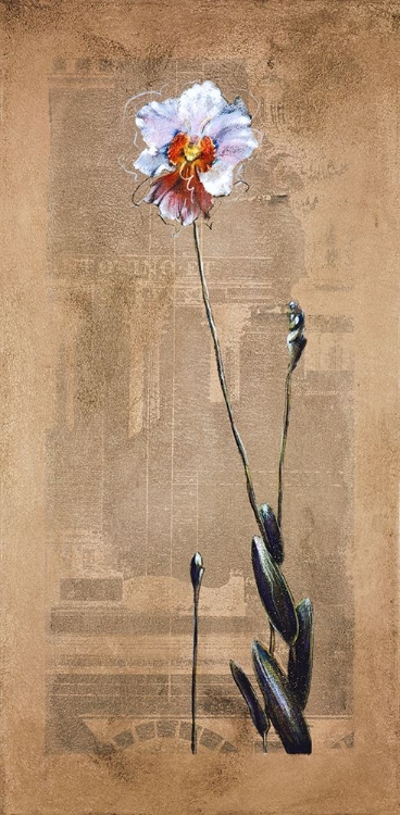 Picture of ASIAN ORCHIDS I