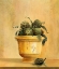 Picture of ARTICHOKES