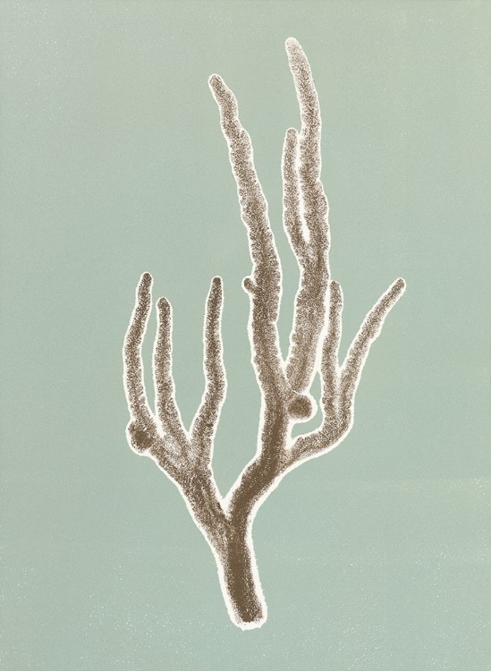 Picture of CORAL 4
