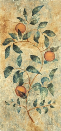 Picture of GOLDEN FRUIT II