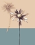 Picture of SIMPLICITY 2