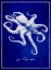 Picture of OCTOPUS