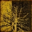 Picture of MEMOIRS 2
