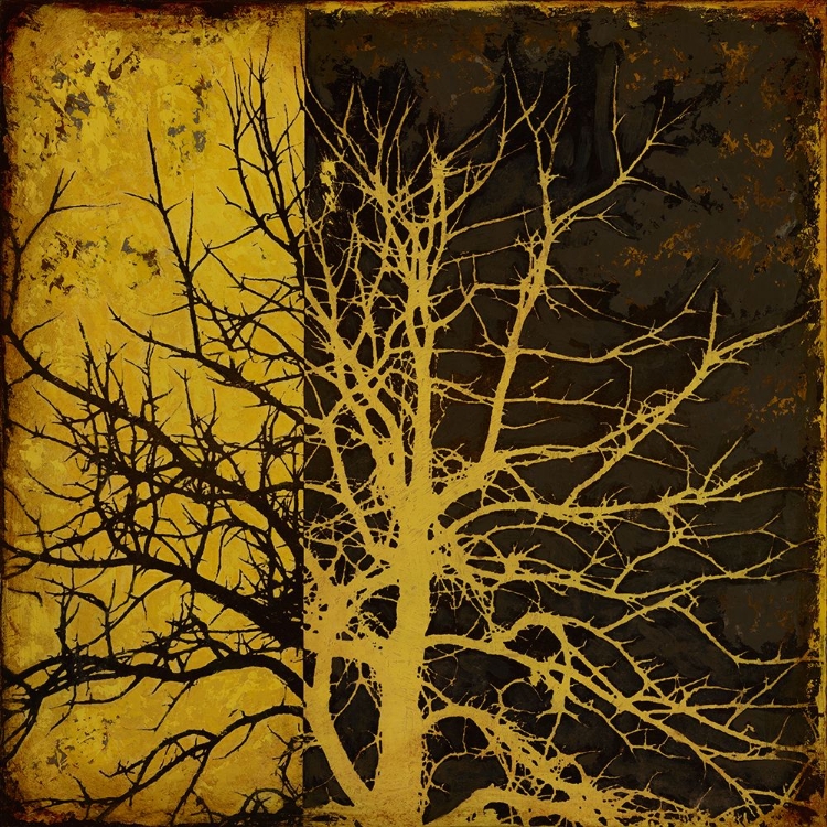 Picture of MEMOIRS 2