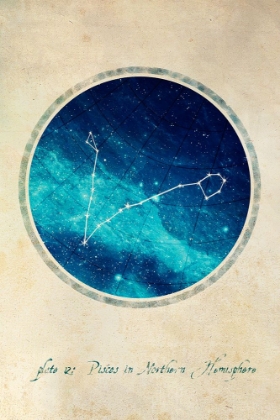 Picture of PISCES