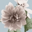 Picture of VINTAGE FLORALS D