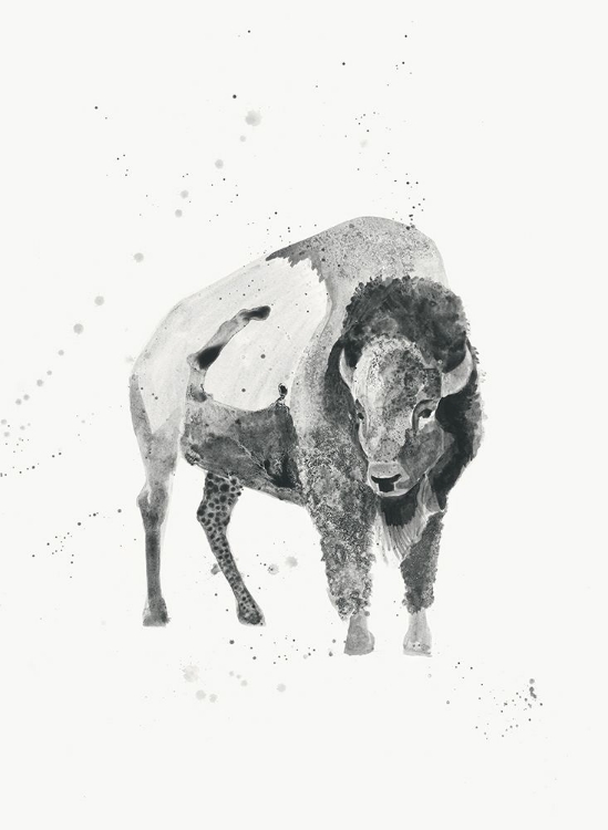 Picture of WATERCOLOR BUFFALO