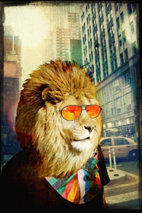 Picture of KING LION OF THE URBAN JUNGLE