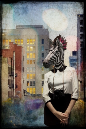 Picture of ZEBRA STROLLING THE HIGH LINE