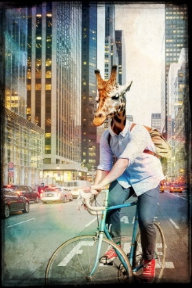 Picture of GIRAFFE ON A BIKE