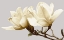 Picture of VINTAGE FLORALS E