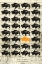 Picture of BISON