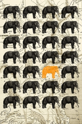 Picture of ELEPHANTS