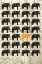 Picture of ELEPHANTS