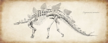 Picture of STEGOSAURUS ARMATUS