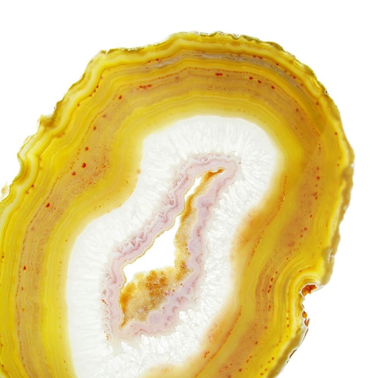 Picture of LIMONCELLO AGATE A