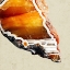 Picture of BLOOD ORANGE AGATE B