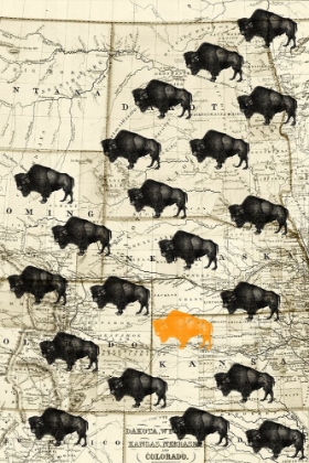Picture of WHERE THE BUFFALO ROAM