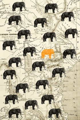 Picture of WHERE THE ELEPHANT ROAM