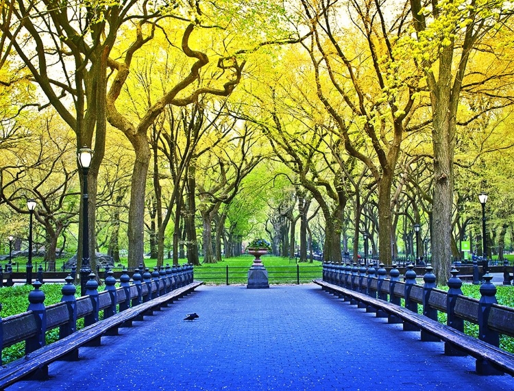 Picture of CENTRAL PARK