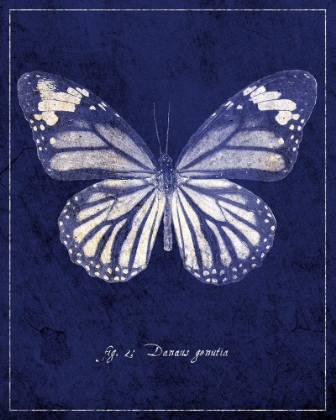 Picture of BUTTERFLY A