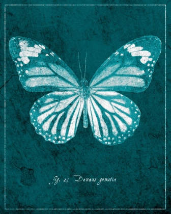 Picture of BUTTERFLY D