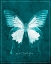 Picture of BUTTERFLY E