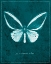 Picture of BUTTERFLY F