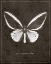 Picture of BUTTERFLY I