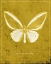 Picture of BUTTERFLY K