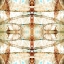 Picture of ESKIMO 1