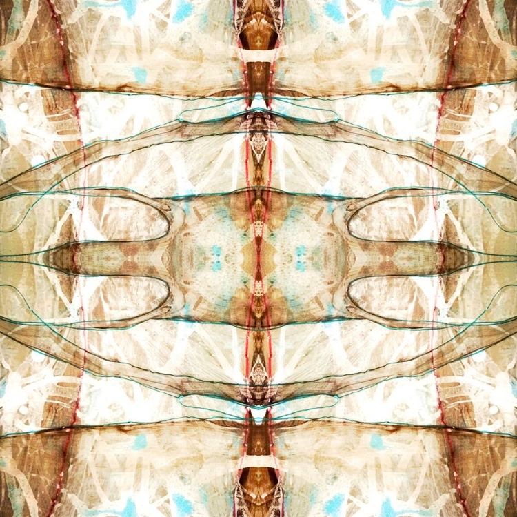 Picture of ESKIMO 1
